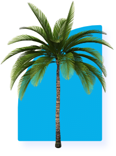 Weshore Agence Web Marrakech Groupe 3578 Weshore Agence Web Marrakech Groupe 3578
