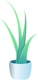 Weshore Agence Web Marrakech Strategies De Referencement SEO 3